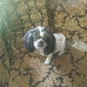 Meet your Posher, Ciara